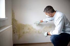 Mold Remediation for Rental Properties in Jamesport, NY